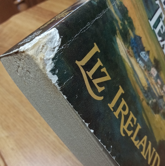 Blissful, Texas by Liz Ireland - Picture 8 of 8